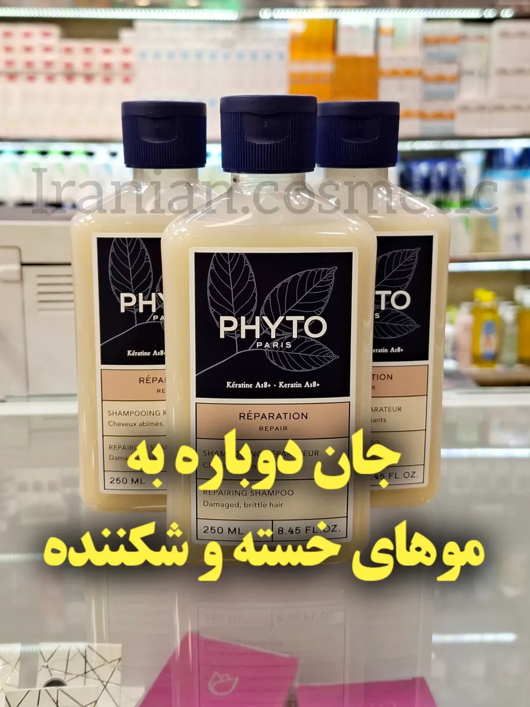 شامپوی ترمیم کننده موهای آسیب دیده PHYTO
