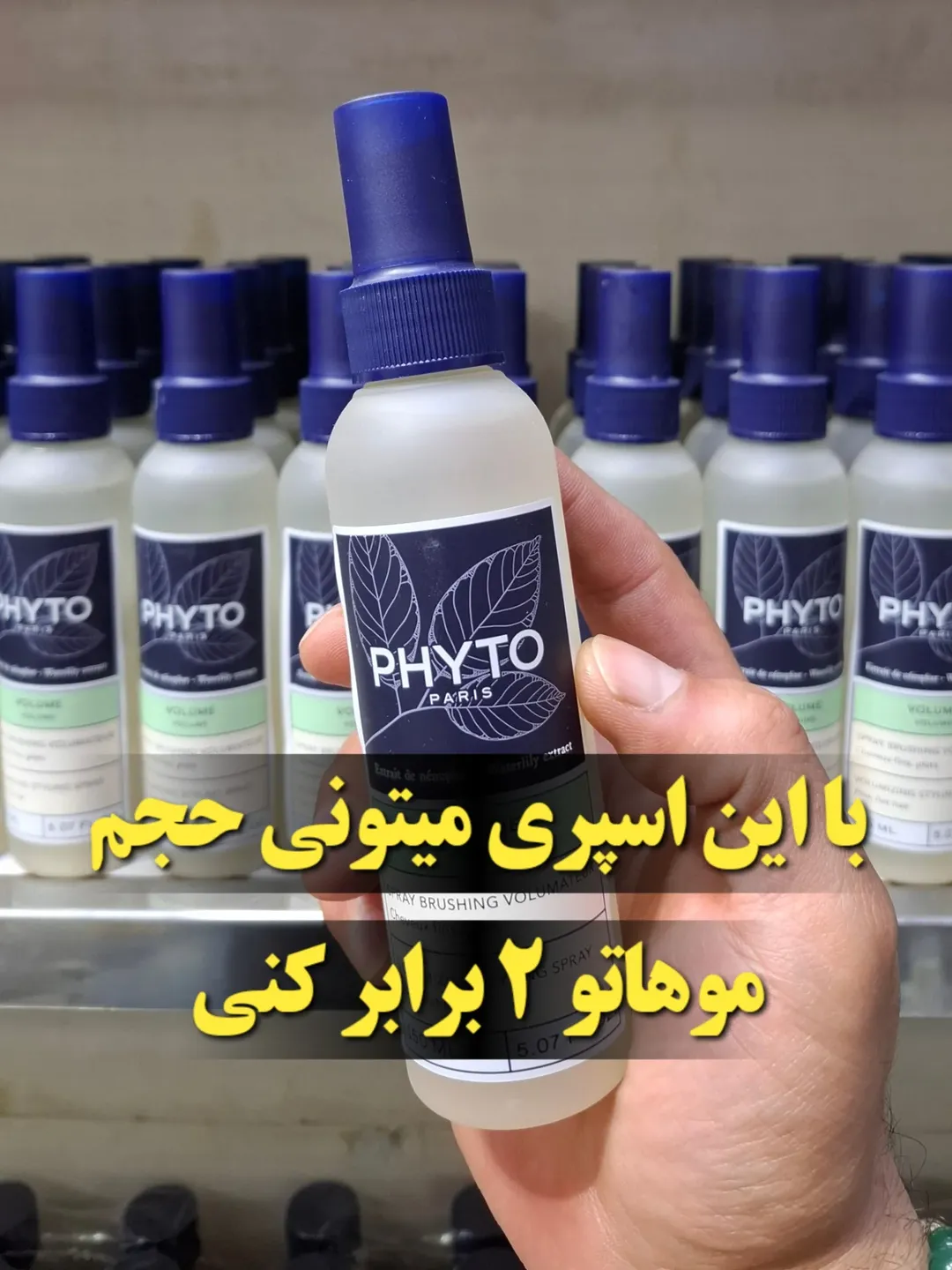 حجم دهنده مو PHYTO